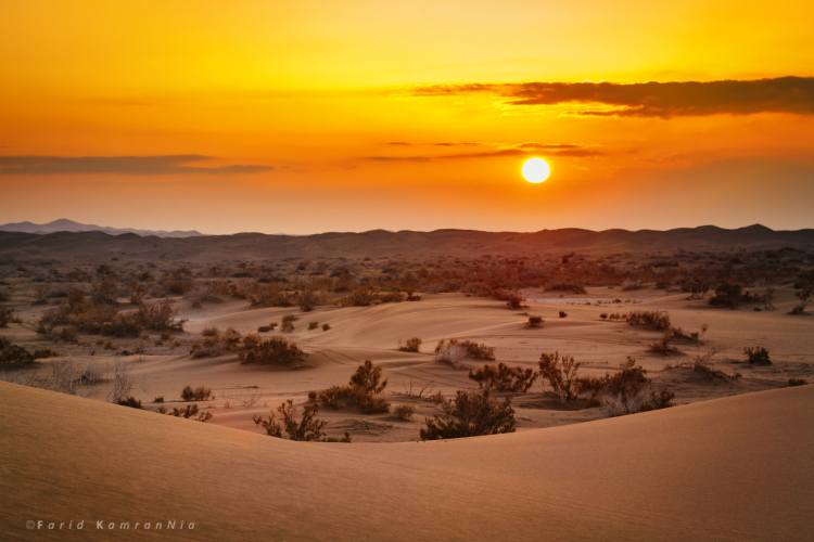 نام: Desert_2.jpg نمایش: 1020 اندازه: 177.4 کیلو بایت