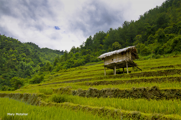 نام: _HNO0898-- ERN'.jpg نمایش: 696 اندازه: 257.9 کیلو بایت