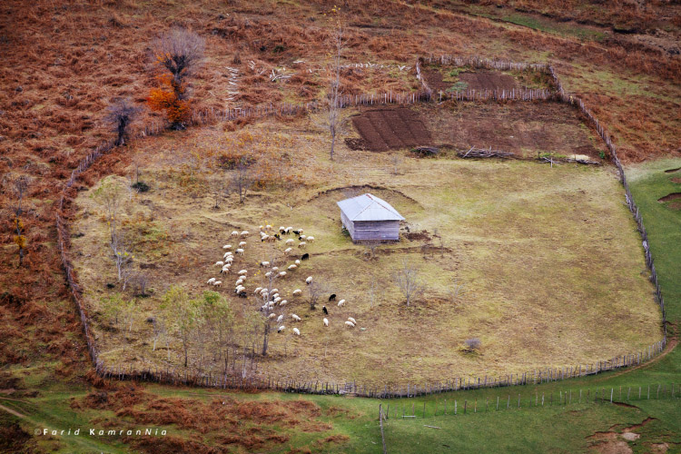 نام: Rural Scene.jpg نمایش: 868 اندازه: 210.7 کیلو بایت