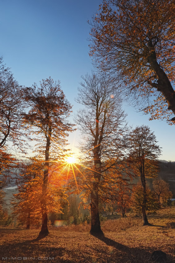 نام: Asalem-hdr-Edit.jpg نمایش: 1474 اندازه: 297.7 کیلو بایت