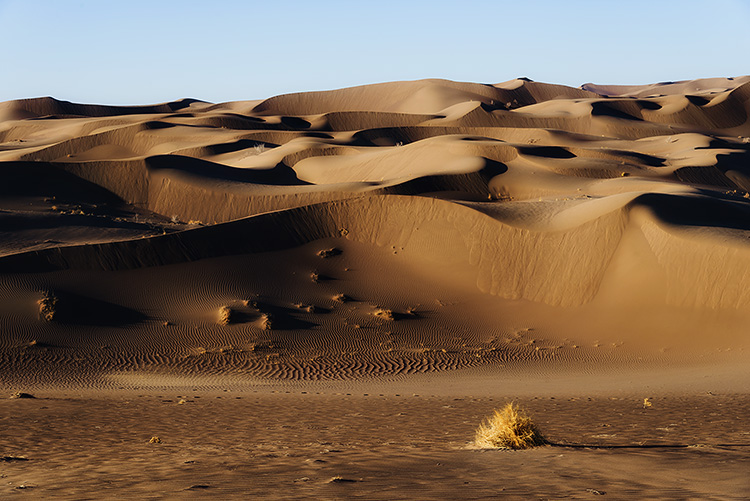نام: Master Opacity Change.jpg نمایش: 705 اندازه: 191.3 کیلو بایت