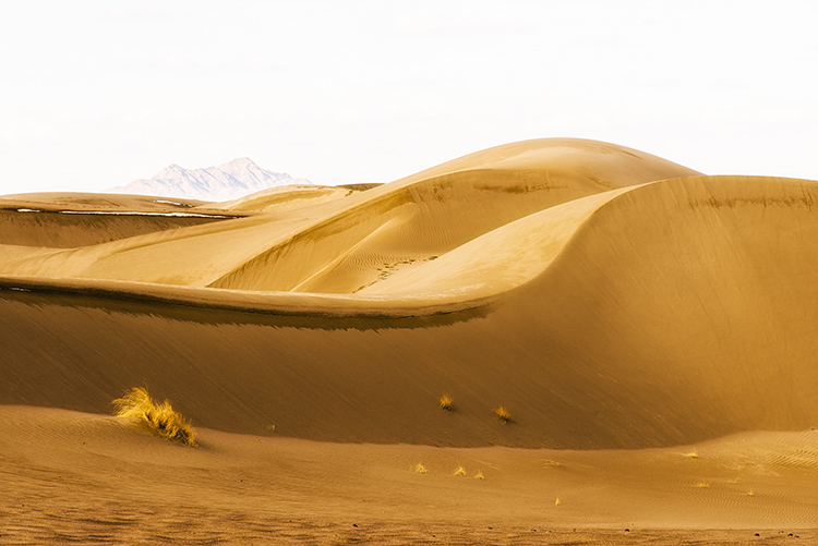 نام: Name- Change.jpg نمایش: 715 اندازه: 171.7 کیلو بایت