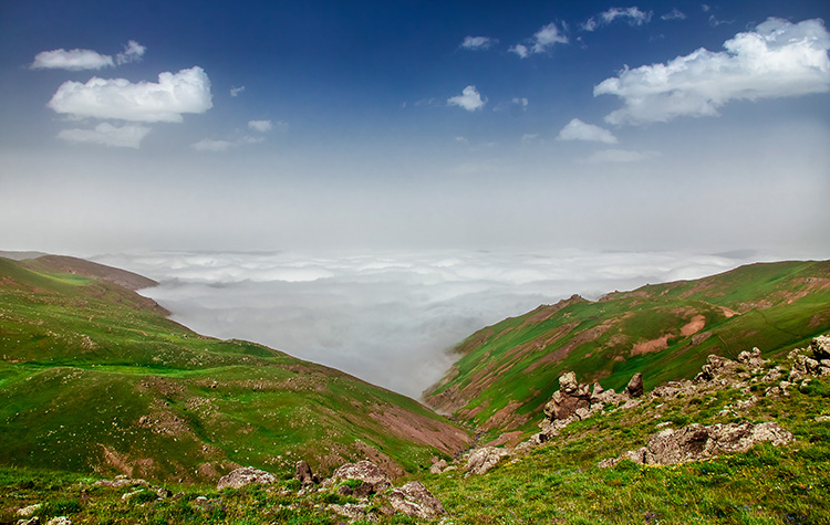 نام: IMG_4006.jpg نمایش: 651 اندازه: 188.1 کیلو بایت