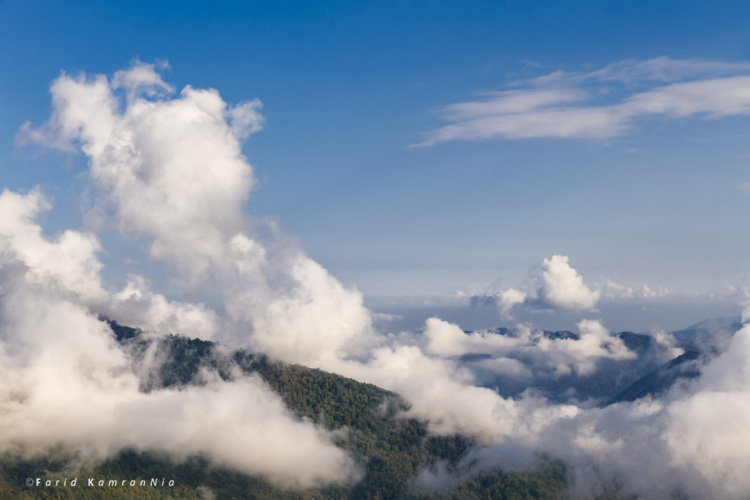 نام: Clouds over forest.jpg نمایش: 1089 اندازه: 102.7 کیلو بایت