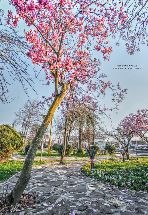 نام: 500px.jpg نمایش: 1353 اندازه: 295.7 کیلو بایت