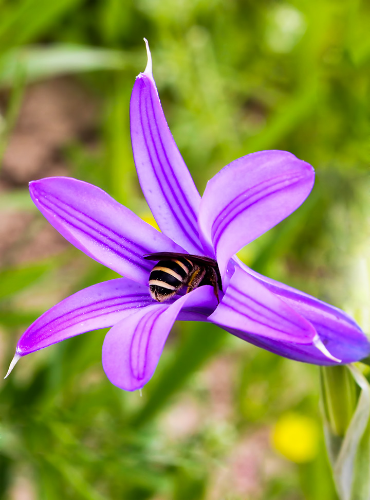 نام: IMG_3824.jpg نمایش: 543 اندازه: 196.8 کیلو بایت