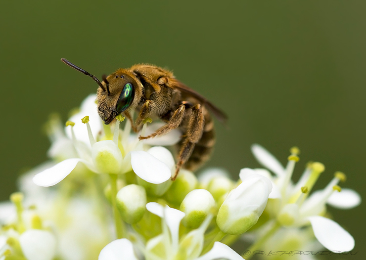 نام: IMG_2472-2 copy.jpg نمایش: 720 اندازه: 204.7 کیلو بایت