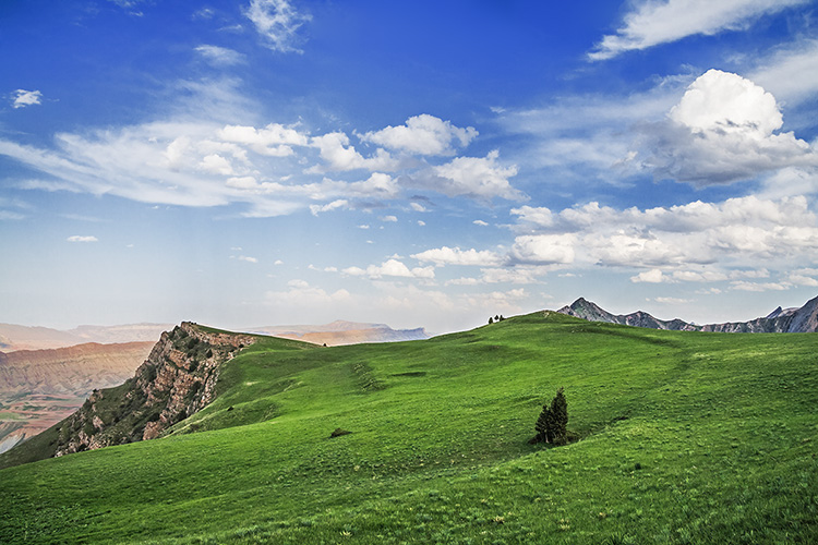 نام: IMG_3179.jpg نمایش: 1079 اندازه: 192.3 کیلو بایت