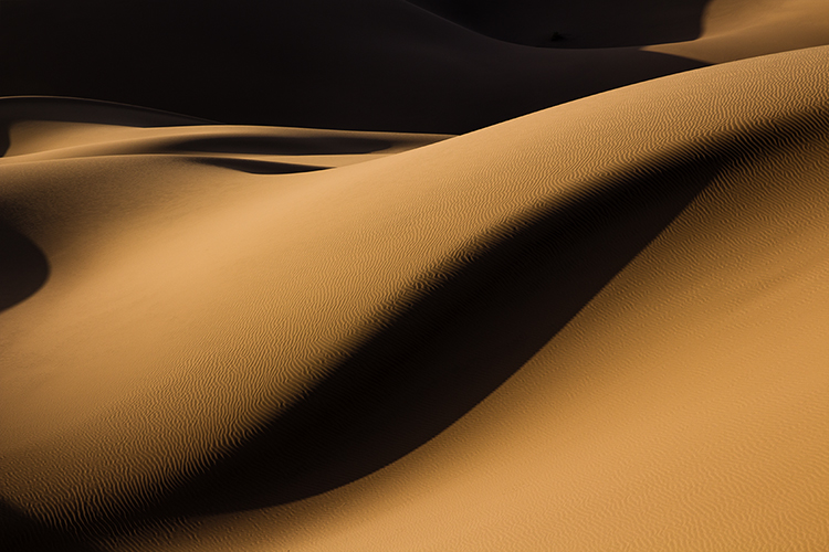 نام: color-desert-forum.jpg نمایش: 621 اندازه: 268.5 کیلو بایت
