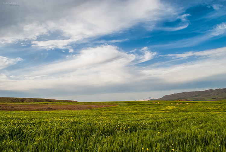نام: a-cloudy-blue-sky-in-spring.jpg نمایش: 541 اندازه: 245.5 کیلو بایت