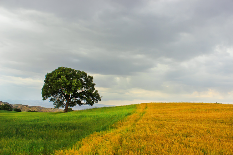 نام: Landscape-5.jpg نمایش: 712 اندازه: 149.7 کیلو بایت