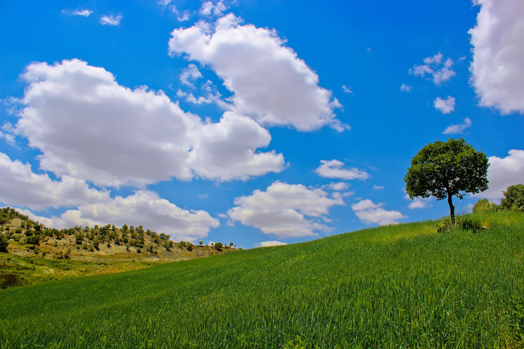 نام: Landscape-6.jpg نمایش: 719 اندازه: 198.8 کیلو بایت