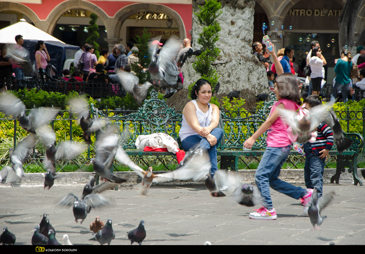 نام: DSC_0872-1re.jpg نمایش: 668 اندازه: 287.9 کیلو بایت