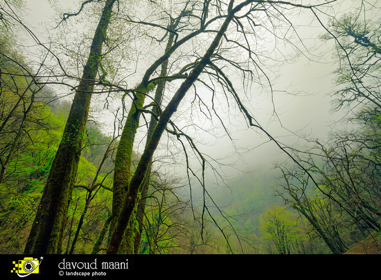 نام: green.jpg نمایش: 743 اندازه: 208.6 کیلو بایت