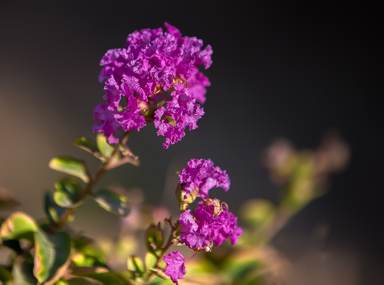 نام: IMG_0927-as-Smart-Object-1.jpg نمایش: 616 اندازه: 181.8 کیلو بایت