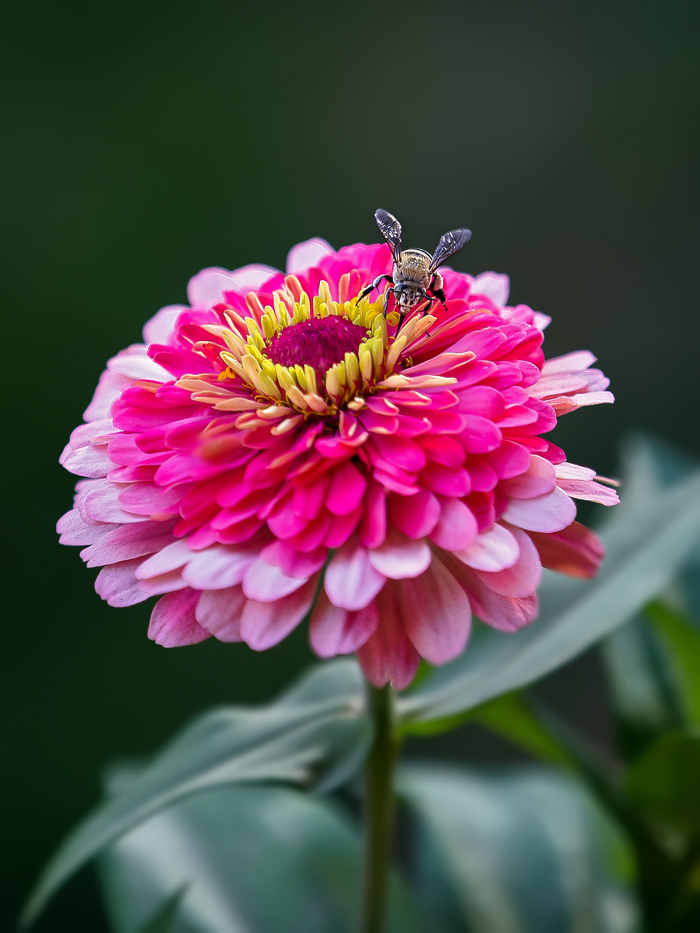 نام: IMG_0933-as-Smart-Object-1.jpg نمایش: 640 اندازه: 281.7 کیلو بایت