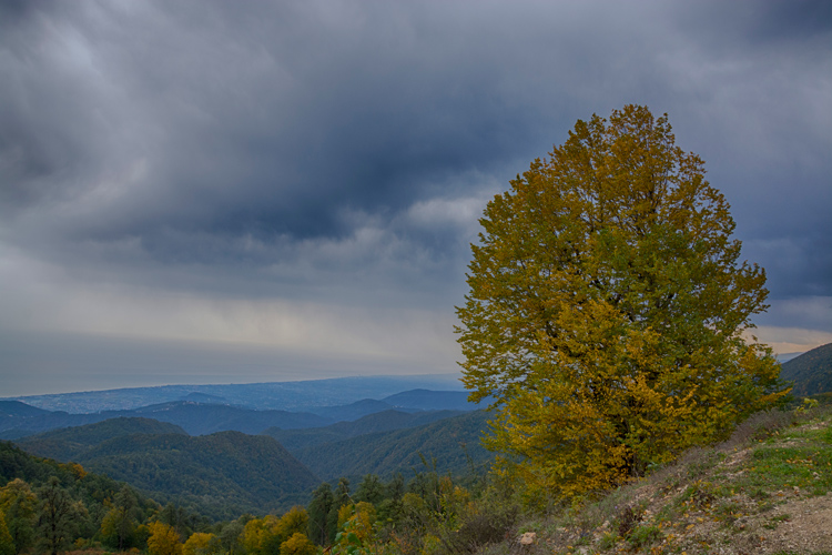 نام: DSC_6073HDR.jpg نمایش: 1111 اندازه: 217.5 کیلو بایت
