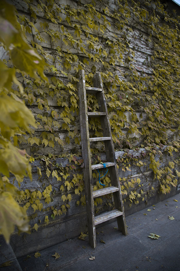 نام: tree.jpg نمایش: 369 اندازه: 264.4 کیلو بایت