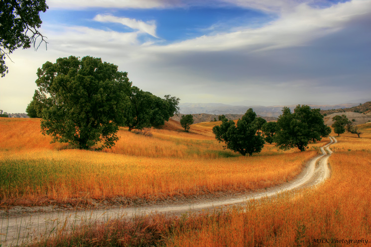 نام: IMG_7203-1_-2_-3_tonemapped--1-ss.jpg نمایش: 855 اندازه: 192.7 کیلو بایت