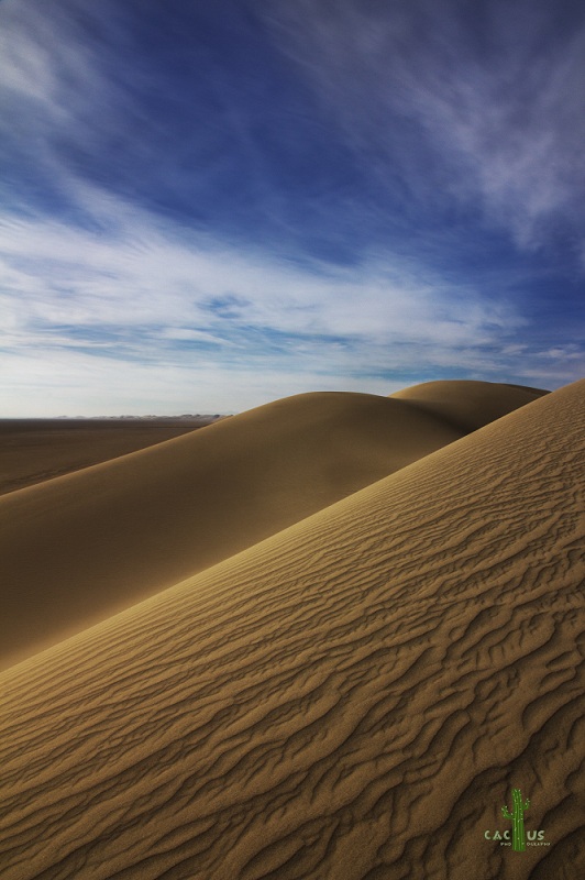 نام: 5680.jpg نمایش: 882 اندازه: 139.9 کیلو بایت