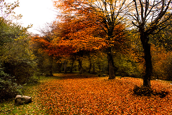نام: IMG_4513-a600.jpg نمایش: 756 اندازه: 290.6 کیلو بایت