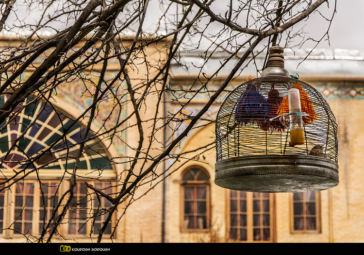 نام: DSC_0989-1re.jpg نمایش: 550 اندازه: 287.8 کیلو بایت