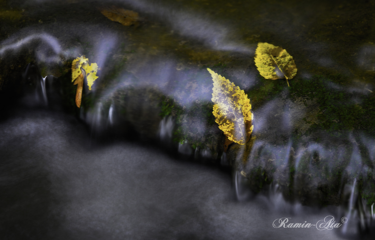 نام: Drawn leaf_MG_8175 - Copy.jpg نمایش: 721 اندازه: 271.6 کیلو بایت