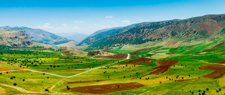 نام: DSC_2189rr.jpg نمایش: 699 اندازه: 280.1 کیلو بایت