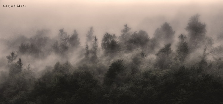 نام: DSC_0059-Edit7.jpg نمایش: 750 اندازه: 75.9 کیلو بایت