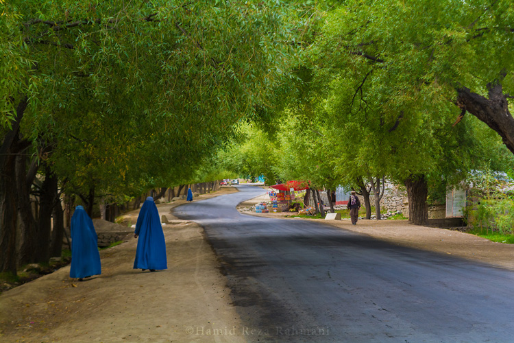 نام: _DSC7388_-_.jpg نمایش: 752 اندازه: 224.1 کیلو بایت