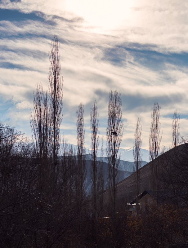 نام: IMG_8605-Edit-2.jpg نمایش: 456 اندازه: 253.8 کیلو بایت