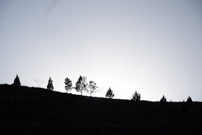 نام: DSC_0176 - Copy.JPG نمایش: 385 اندازه: 69.9 کیلو بایت