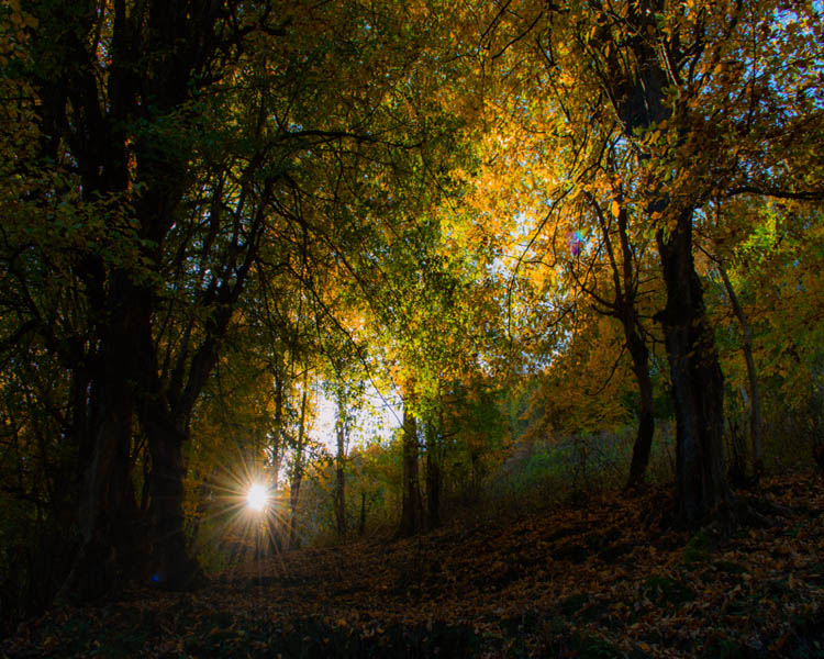 نام: DSC_0014 copy copy.jpg نمایش: 425 اندازه: 168.6 کیلو بایت