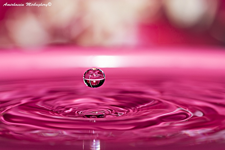 نام: DSC_2059 copy.jpg نمایش: 504 اندازه: 239.7 کیلو بایت