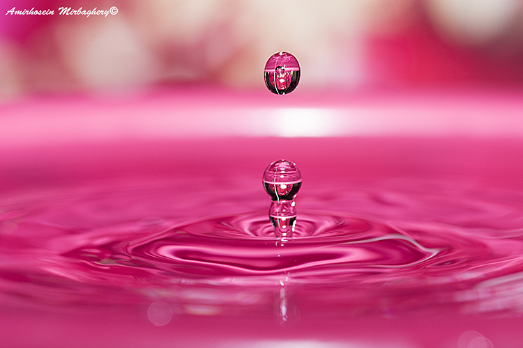 نام: DSC_2083.jpg نمایش: 493 اندازه: 247.2 کیلو بایت
