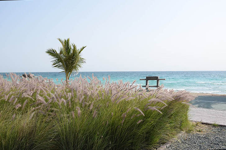 نام: DSC_0512 copy.jpg نمایش: 404 اندازه: 87.8 کیلو بایت