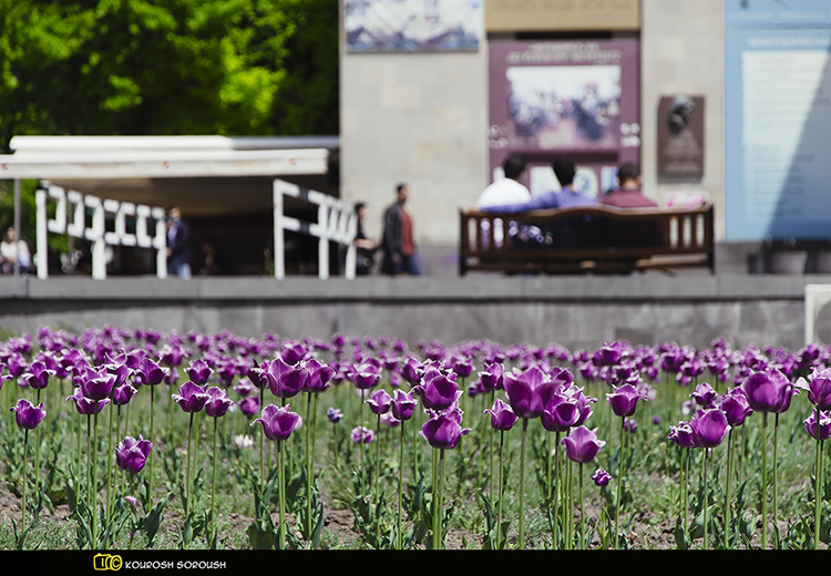 نام: DSC_4884-1re.jpg نمایش: 350 اندازه: 287.4 کیلو بایت