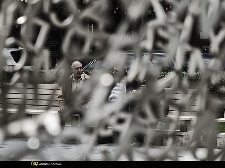 نام: DSC_4992-1re.jpg نمایش: 415 اندازه: 258.9 کیلو بایت