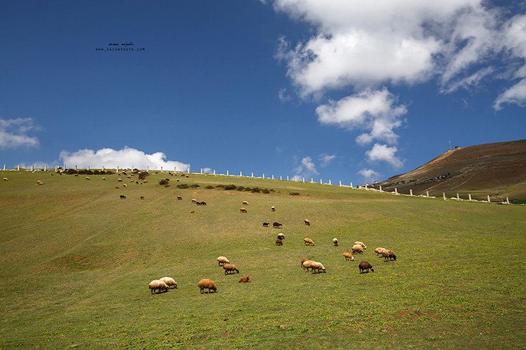 نام: IMG_15331.jpg نمایش: 521 اندازه: 173.2 کیلو بایت