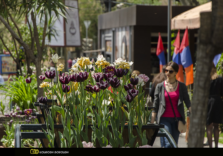 نام: DSC_4957-1re.jpg نمایش: 526 اندازه: 238.4 کیلو بایت
