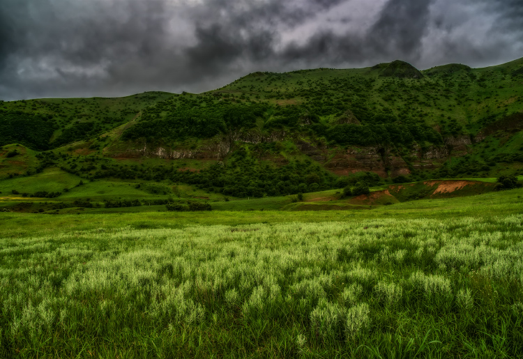 نام: DSC_1893f.jpg نمایش: 690 اندازه: 288.4 کیلو بایت