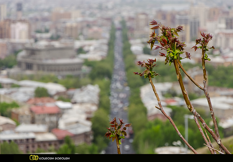 نام: DSC_5368-1re.jpg نمایش: 403 اندازه: 212.8 کیلو بایت