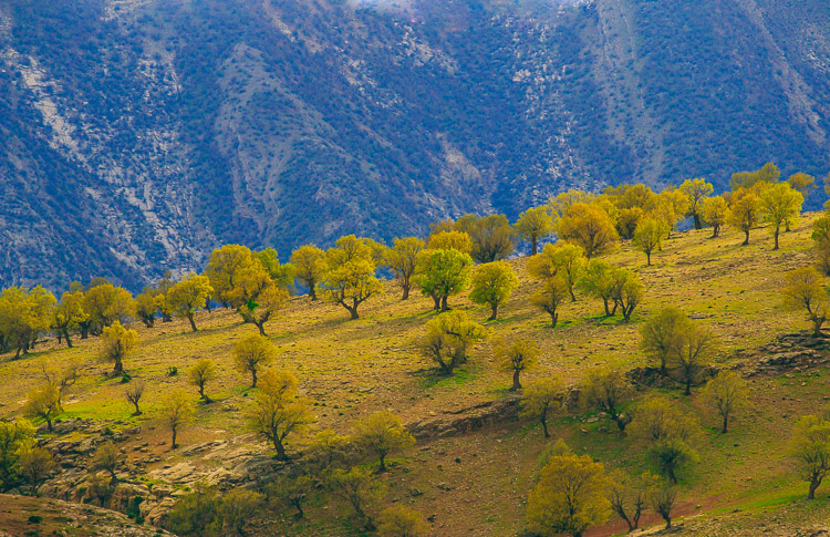 نام: IMG_6299.jpg نمایش: 620 اندازه: 232.8 کیلو بایت