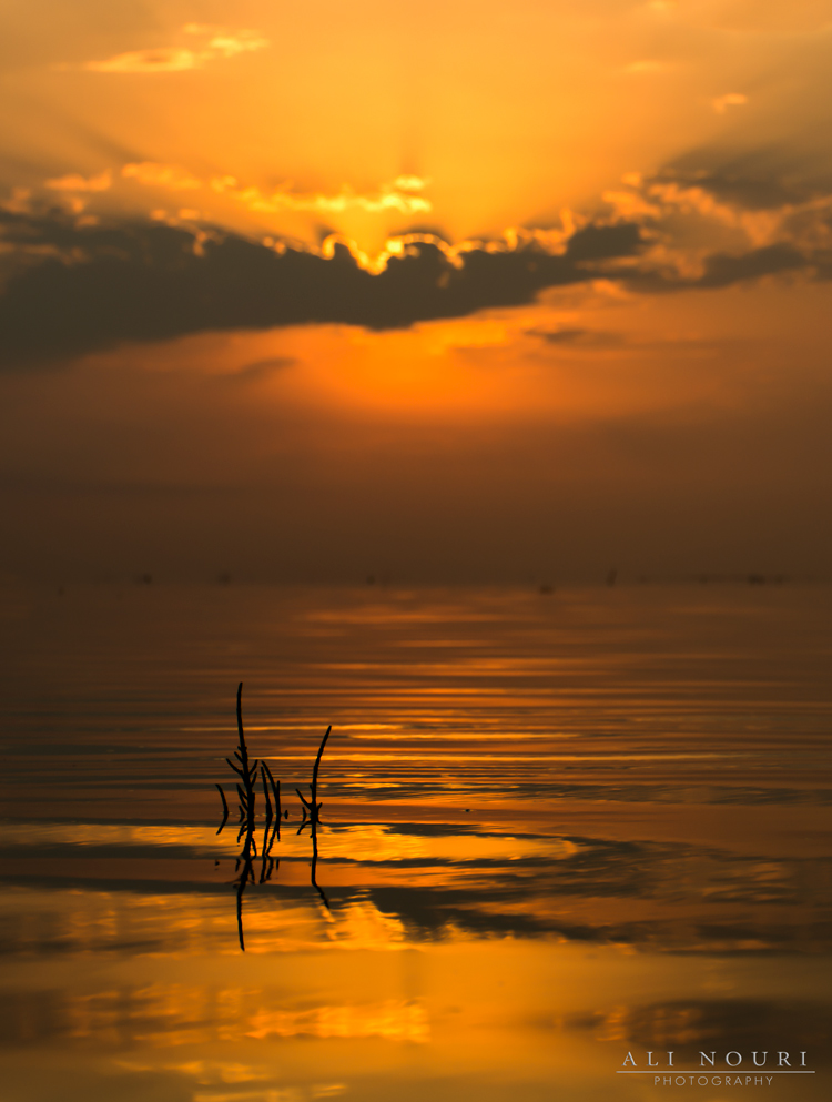 نام: DSC_40550.jpg نمایش: 450 اندازه: 294.8 کیلو بایت