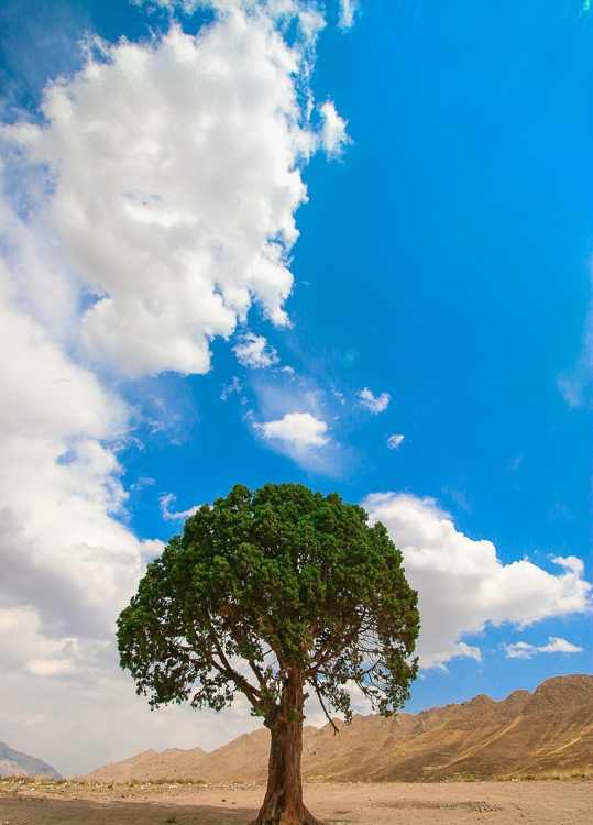 نام: IMG_7208-2.jpg نمایش: 591 اندازه: 242.1 کیلو بایت