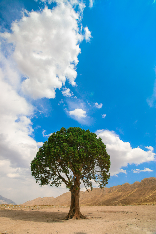 نام: IMG_7208.jpg نمایش: 631 اندازه: 232.0 کیلو بایت