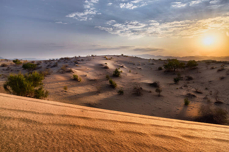 نام: _DSC5636-750.jpg نمایش: 641 اندازه: 299.0 کیلو بایت