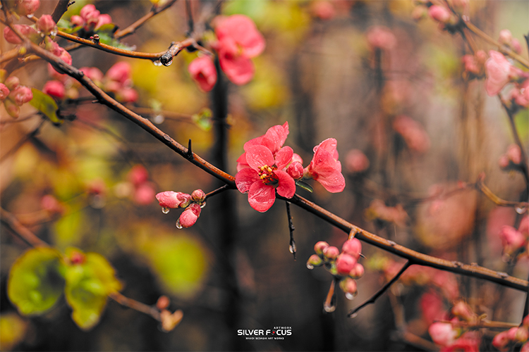 نام: Untitled-1.jpg نمایش: 527 اندازه: 254.0 کیلو بایت