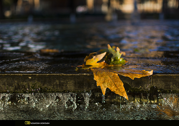 نام: _DSC7974-1re.jpg نمایش: 457 اندازه: 223.8 کیلو بایت