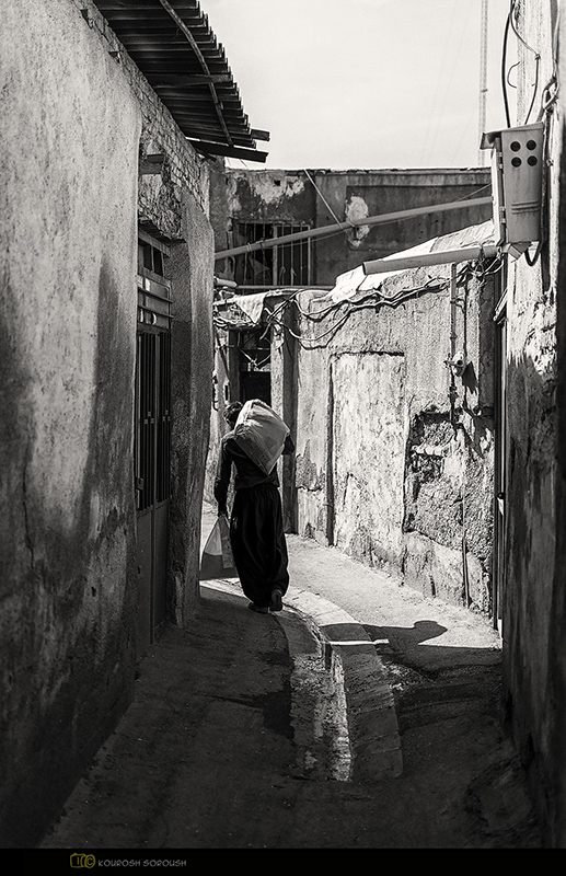 نام: _DSC0288-1re.jpg نمایش: 648 اندازه: 269.0 کیلو بایت